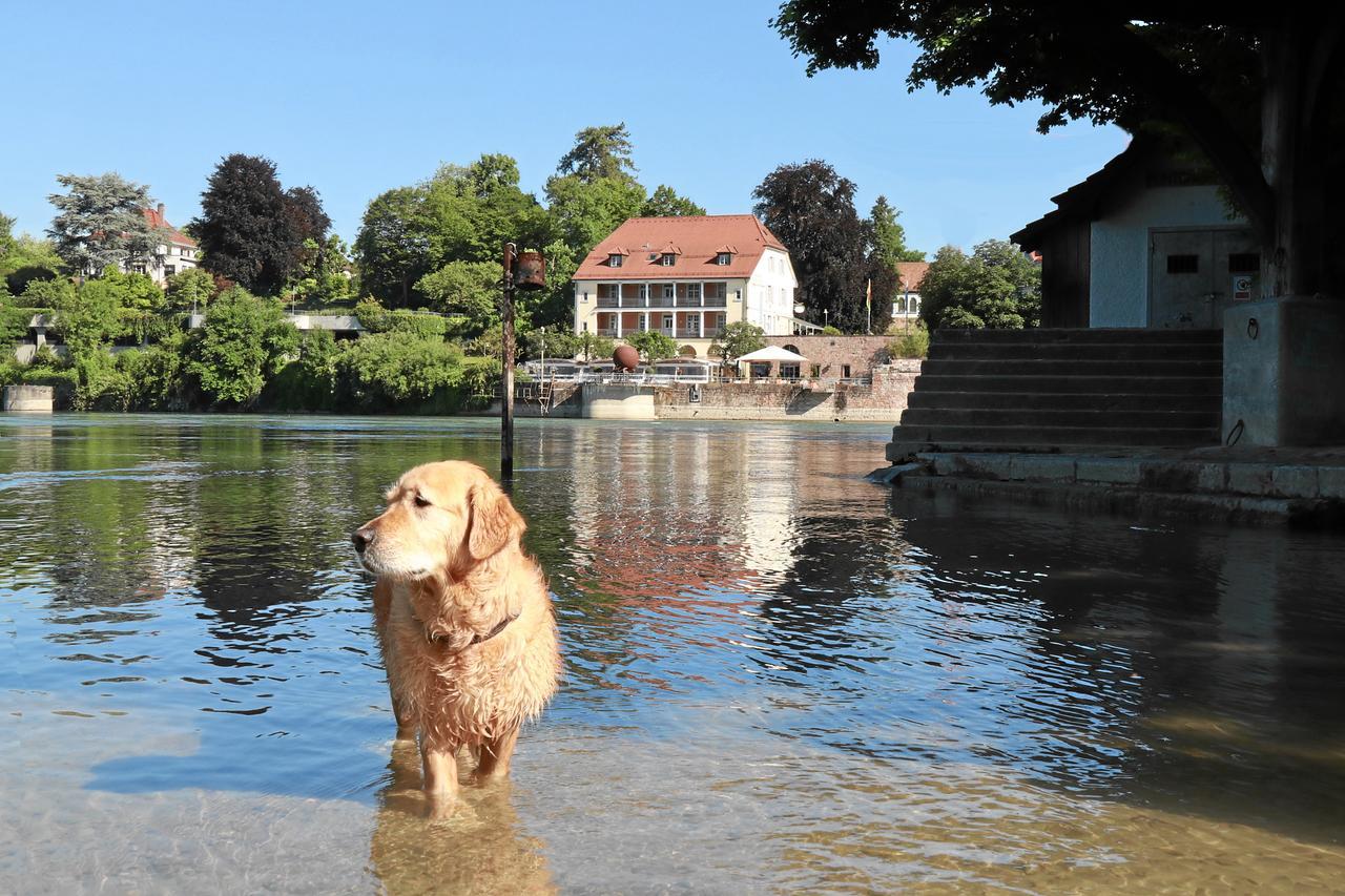 Hotel Danner Rheinfelden  Exteriör bild